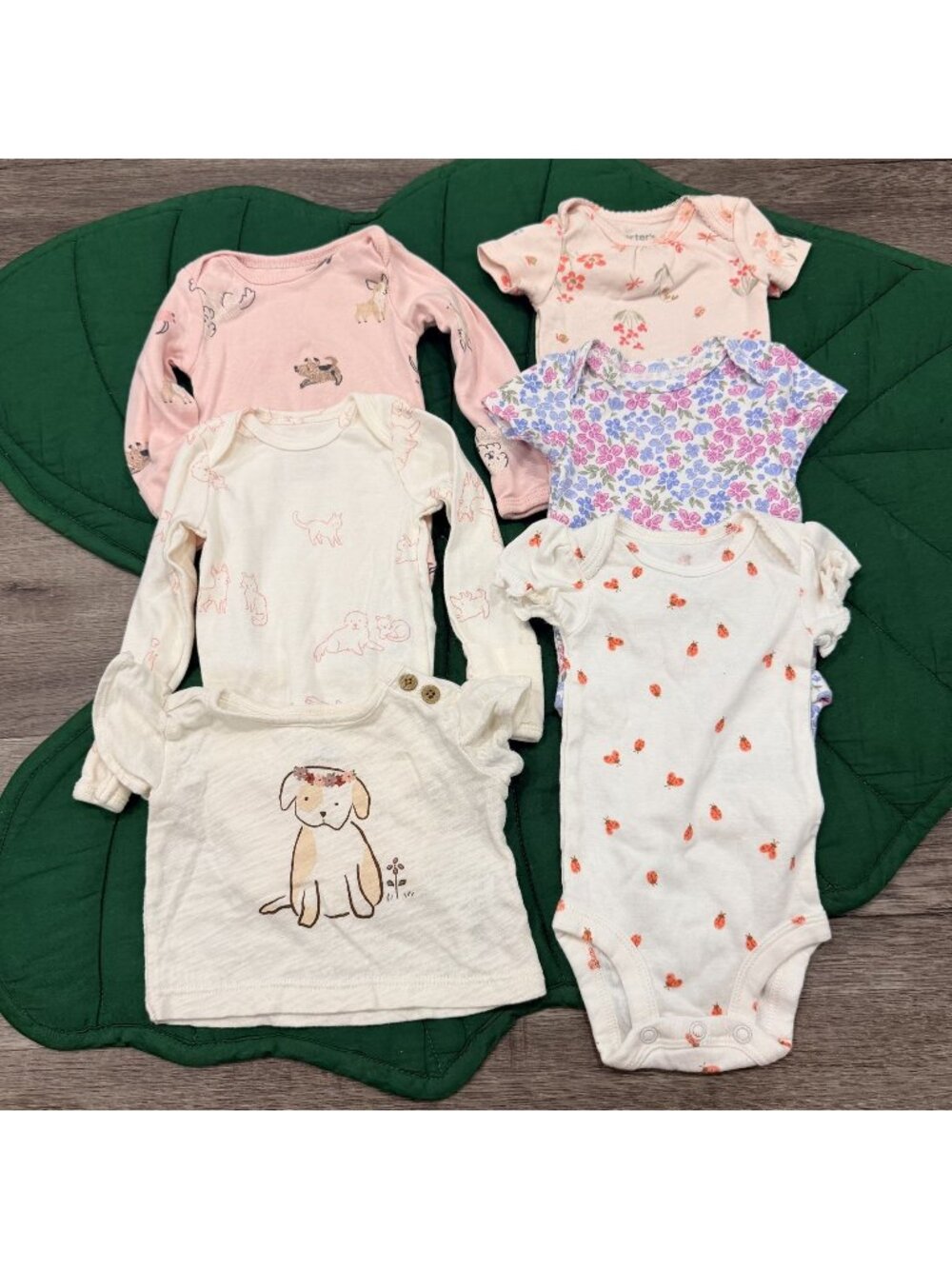 Baby Girl Newborn Bodysuit Lot Floral Dogs Ladybugs